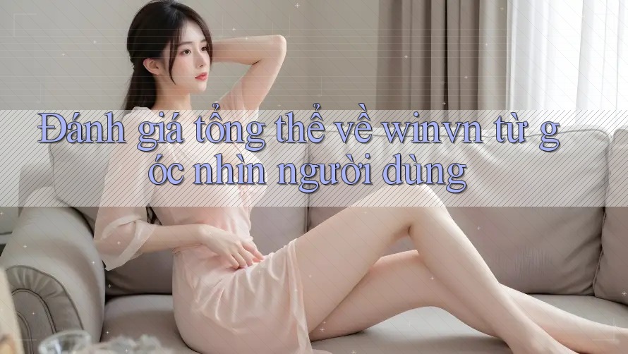 Đánh giá tổng thể về winvn từ góc nhìn người dùng
